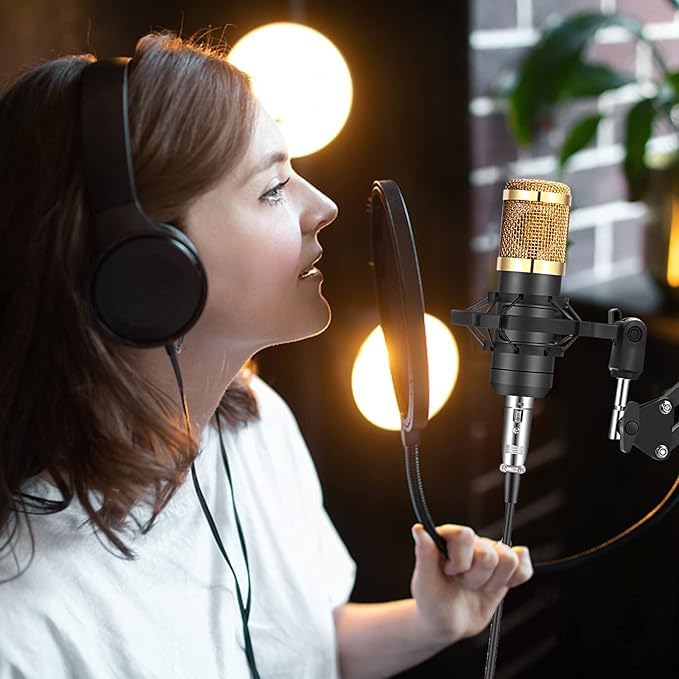 BeatWizards Podcast Equipment Bundle, Audio Interface with Voice Changer and BM800 Condenser Microphone, Recording Studio Package Perfect for Recording, Broadcasting, Live Streaming, YouTube, TikTok (BM800-V8G)